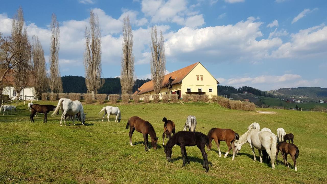 Gaestehaus Sabine Voitsberg Esterno foto